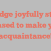 A  Judge joyfully states Pleased to make your acquaintance!