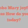 A Bobo Mary joyfully states How do you do today?